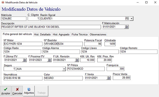 Ficha del vehiculo